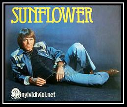 Sunflower Download Free