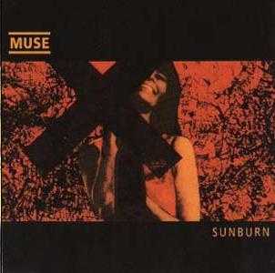 Sunburn Download Free