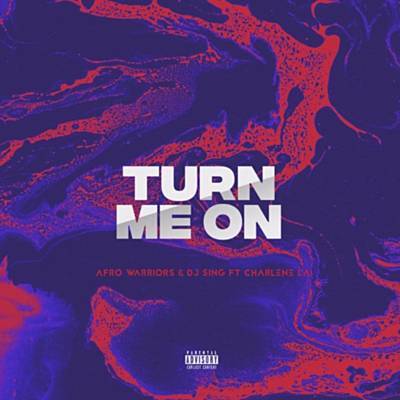 Turn Me On (Vocal Mix) Download Free