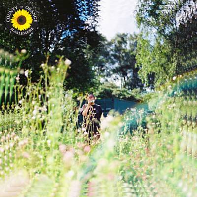 Sunflower Download Free